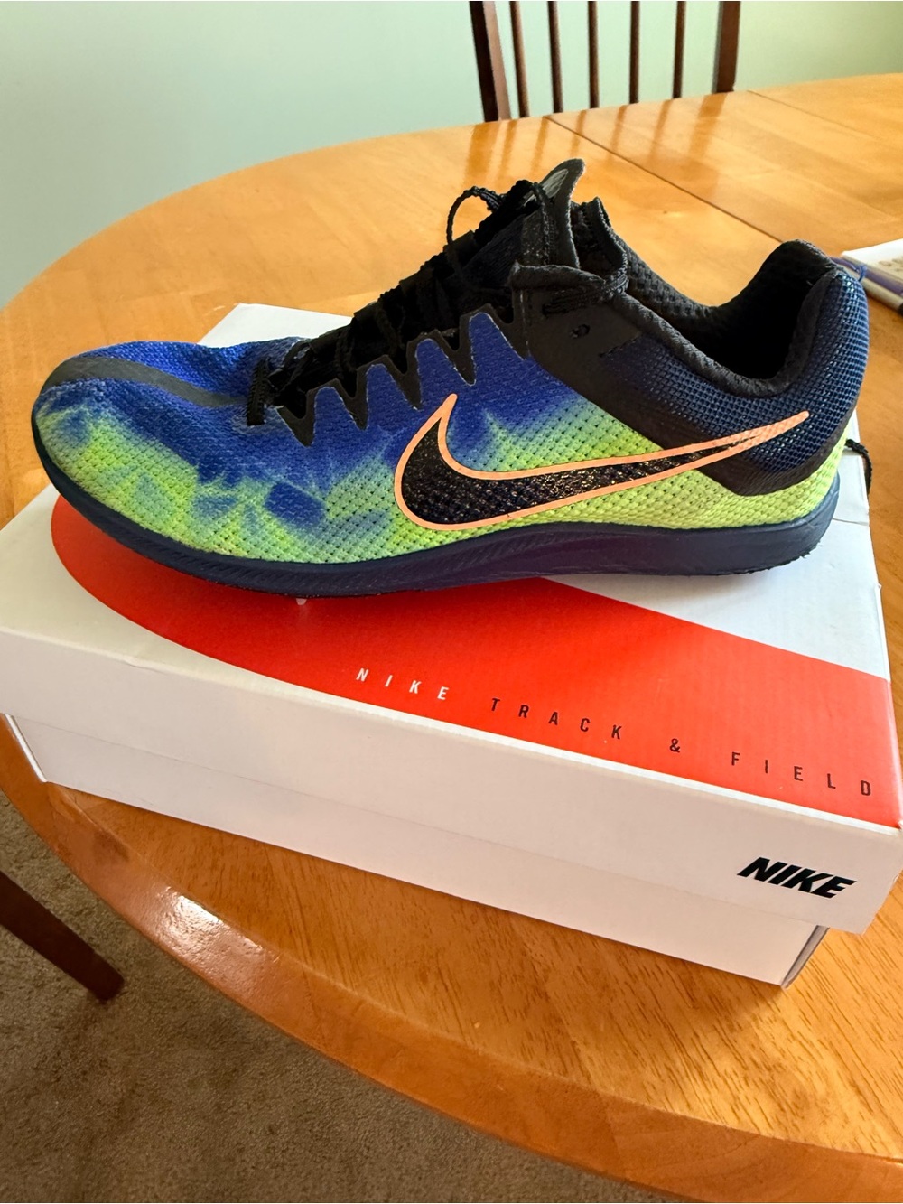 Nike Women's Blue and Green Gradient Running Sneakers with Pink Swoosh